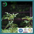 Hexagonal Wire Mesh (XY-23F)